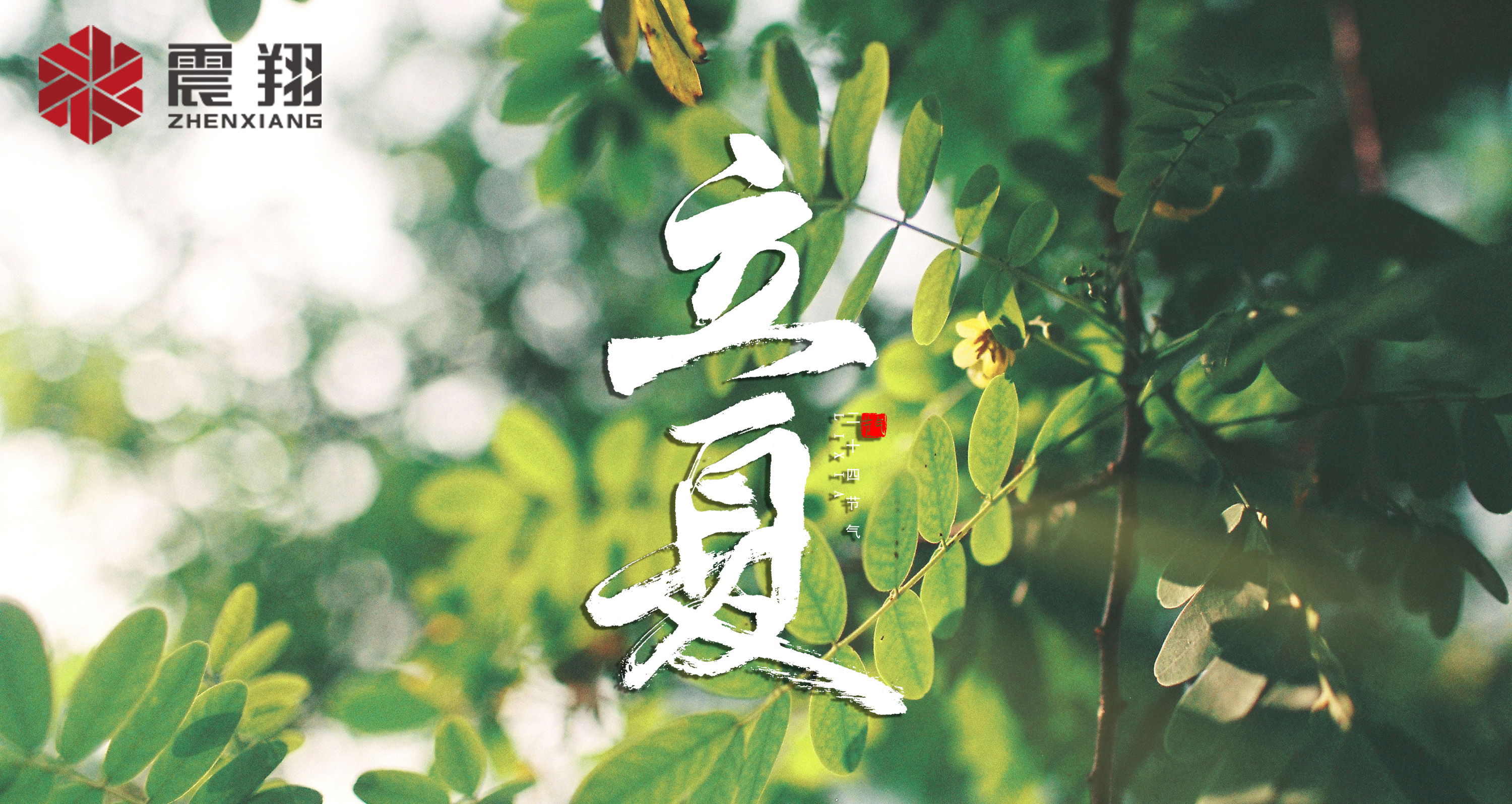 【立夏】春去春來不曾留意，夏日當歸，撲面而來